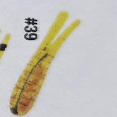 BETTS SPIN W/SPARE BODY 1/50 OZ 7/8"SPLIT TAIL CHART. CRAWFISH GLITTER